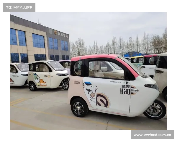 低速四轮电动车被禁后，这种代步工具成为老年人新宠，接娃很方便